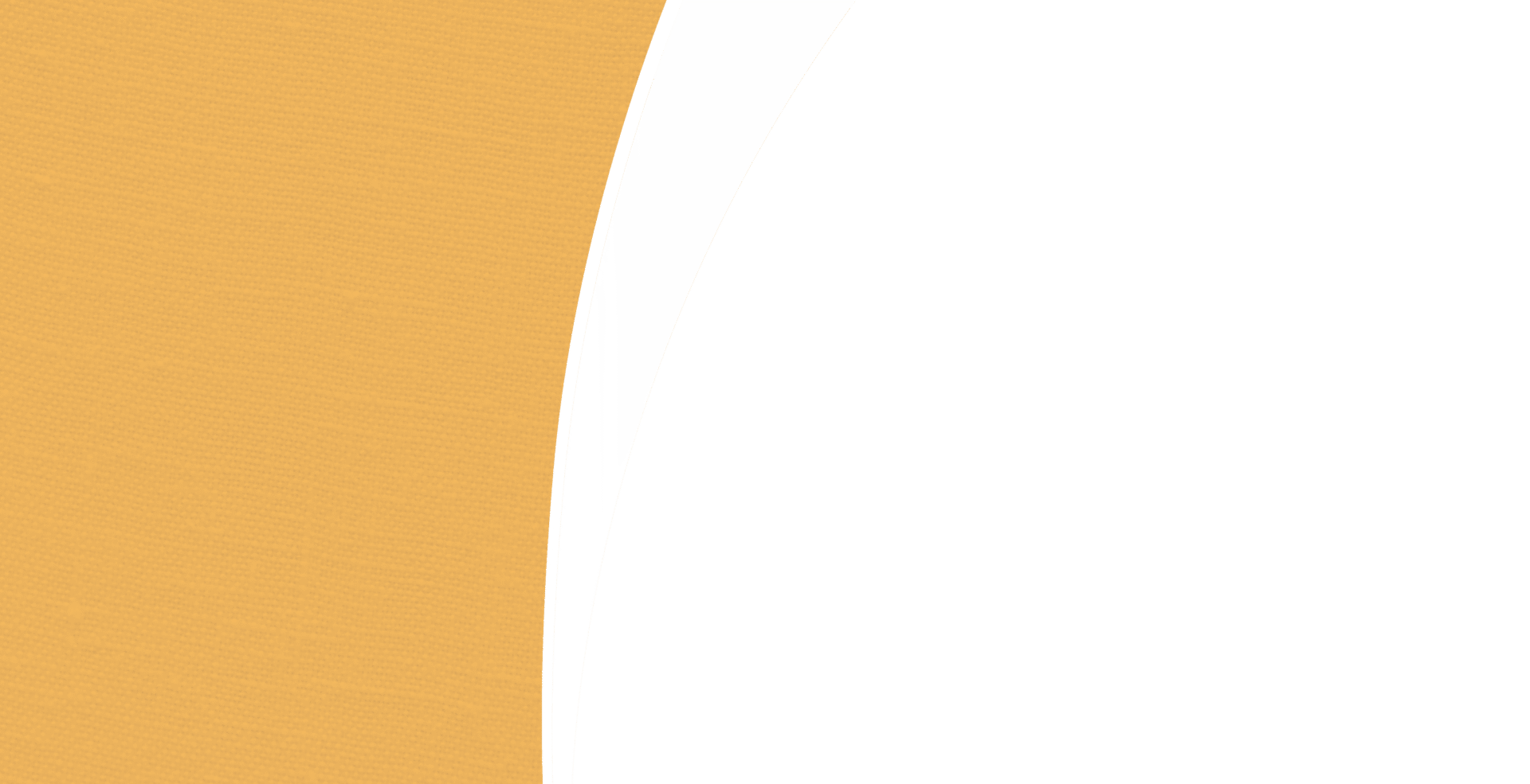 2026 summer banner swoop